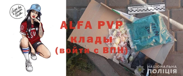 сатива Вяземский