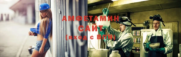 сатива Вяземский