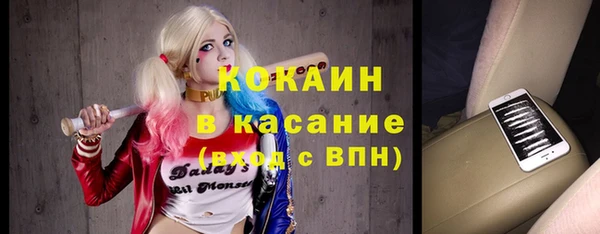 сатива Вяземский