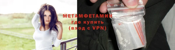 сатива Вяземский