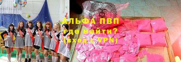 сатива Вяземский