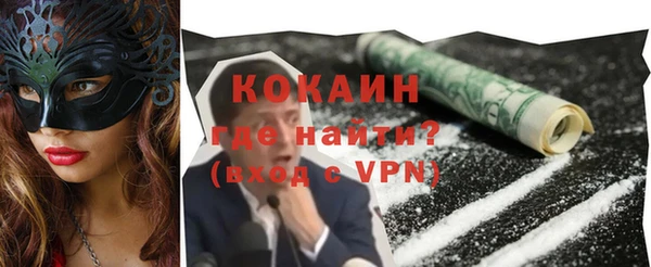 сатива Вяземский