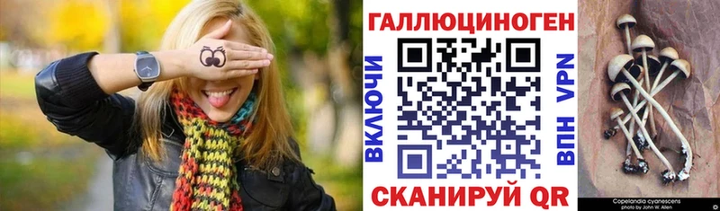 Купить где  Кудымкар  Псилоцибиновые грибы мухоморы 
